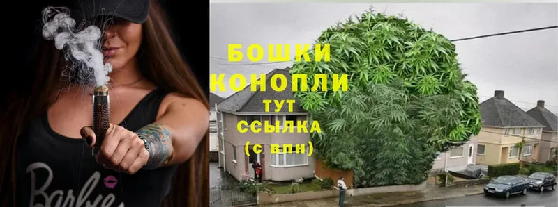 Марихуана THC 21%  купить наркоту  Борисоглебск 